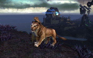 Lesser Primal Companion: