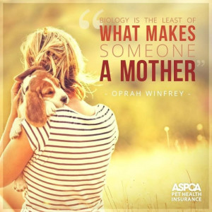 ... Quotes, Oprah Winfrey, Pets Mom, Adoption A Pets Quotes, Dogs Mom