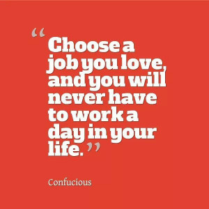 Choose a job you love
