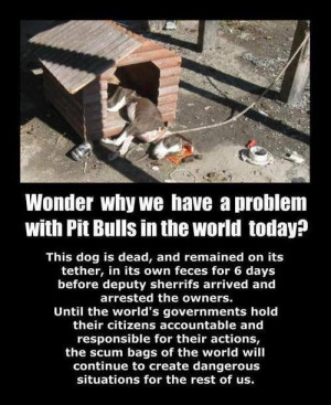 This is a pit bull who I am sure was snuggly, but never got a chance ...