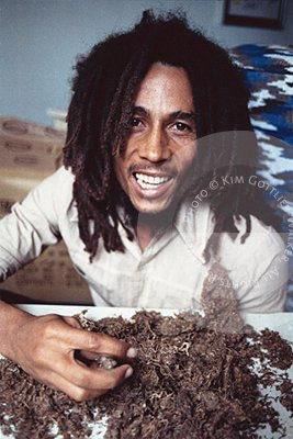 bob marley smoked marijuana Bob Marley Smoking Weed