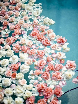Roses Floating in Water