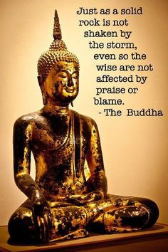 the buddha #buddha #buddha quotes --This world is really awesome. The ...