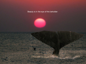 beauty-is-in-the-eye-of-beholder-beauty-quote.jpg
