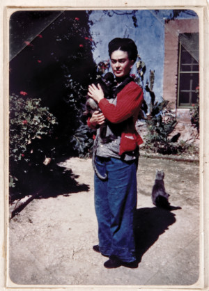 Frida Kahlo Quotes The Quotations Page And Famous Pictures