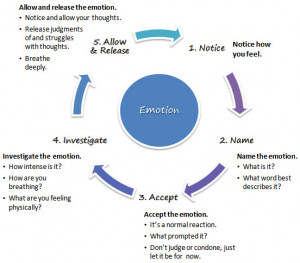 An interesting model of how to regulate emotions by bringing mindful ...