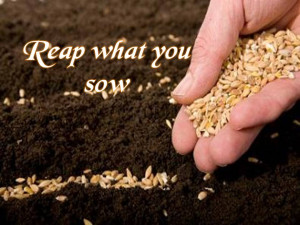 planting seeds is a prerequisite to reaping a spiritual harvest plant ...