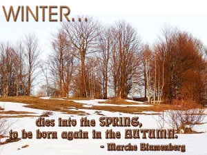 Spring Quotes And Sayings Winter quotes and sayings :