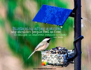 Birds sing after a storm; why shouldn't people feel as free to ...