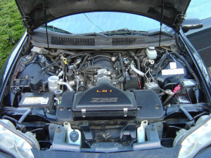 Funny Quotes Contact Us DMCA Notice