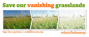 Save our Vanishing Grasslands petition goes to the top