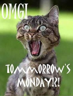 Can you believe tomorrow is already Monday. WOW where does the weekend ...