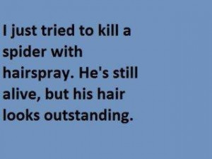 hahaha i just tried to kill a small roach with hairspray the other day ...
