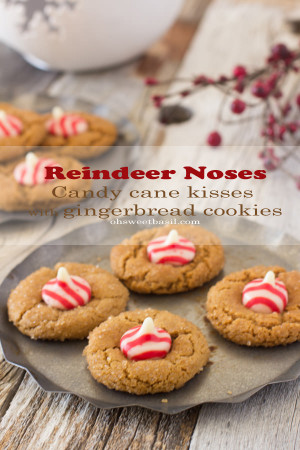 Reindeer Noses The Perfect