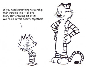 calvin and hobbes quotes on art