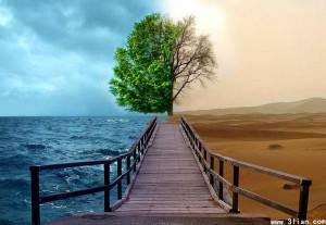 这是一组富有意境的唯美风景图片