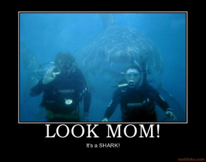 Motivational Shark Poster