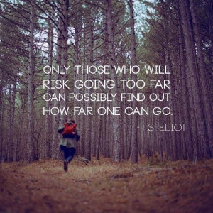 ... who will risk going too far can possibly find out how far one can go