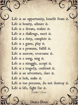 Life is.... fight for it!