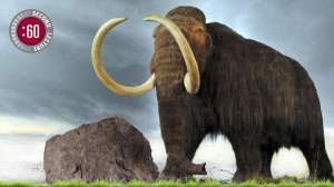 Hendrik Poinar discusses whether we should bring back the mammoth