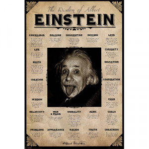 Wisdom of Albert Einstein Poster Quotes Genius E MC2