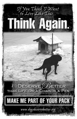 ... me part of your pack poster. Help to change attitudes towards animals