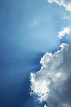 Feed your faith and your fears will starve to death.