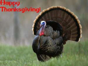 Happy-Thanksgiving-Turkey-thanksgiving
