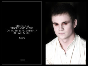 Previous Photo Next Photo »