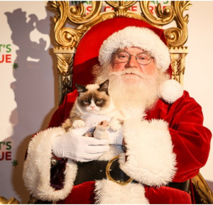 christmas grumpy cat