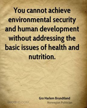 Gro Harlem Brundtland - You cannot achieve environmental security and ...