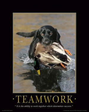 Black Lab Duck Hunting Dog