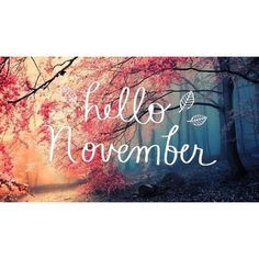 Hello Sweet November, Autumn photography, Yellow, Forest, Woodland ...