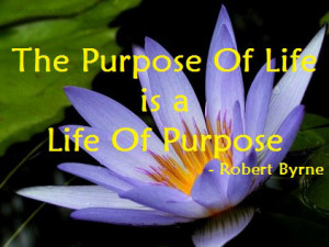 -purpose-of-life-is-a-life-of-purpose-Robert-Byrne-life-picture-quote ...