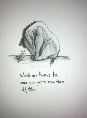 Weeds are flowers too, once you get to know them.