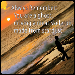 quotes about getting back up after falling down Too Punny Archives Get ...