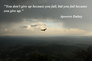 The Flight of Ambition