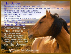 Horse Quotes