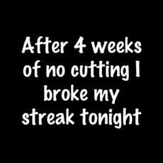 Related Pictures mr show videos mr show pictures and mr show articles ...