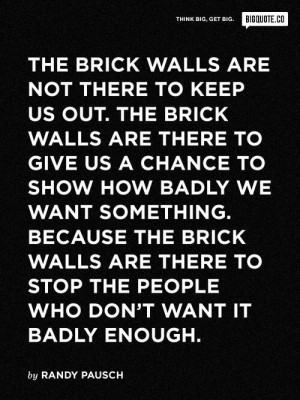 Brick walls quote