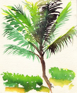 Sketches from Punta Cana