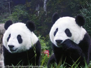 Funny Quotes Contact Us DMCA Notice