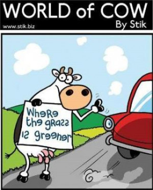 Cartoon Wednesday – World of Cow … MOO!