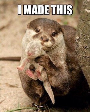 Otter and baby... Cute