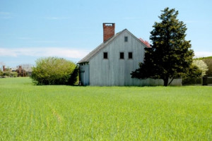 Animal Farm Propaganda Quotes