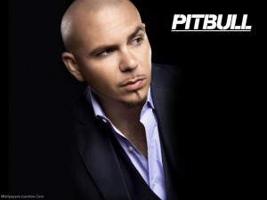Pitbull (rapper) Pitbull wallpaper