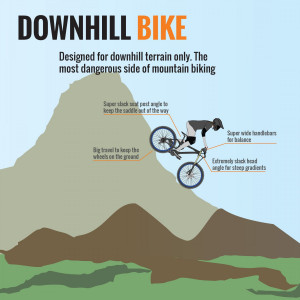 Anatomy of a Bicycle (Part VII) - Downhill Infographic