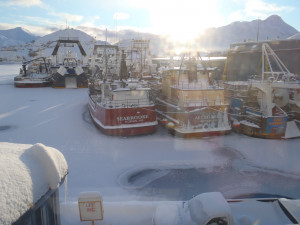 Ramblin Rose Heading Out Today