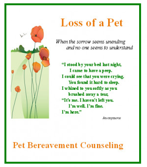Grieving Over The Loss Pet