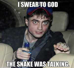Harry Potter has seen things…